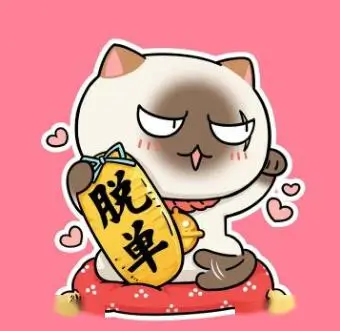 配角支线标本头像，支线功能与出场节奏整理